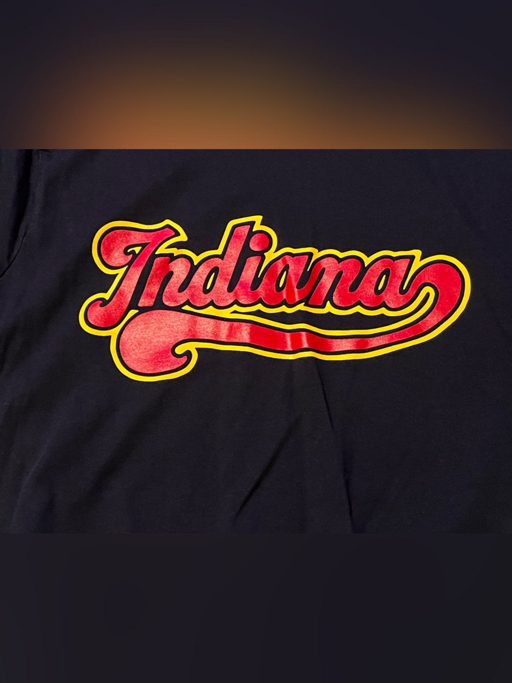 Indy Womens Pro Basketball Script - Picture 2 of 4